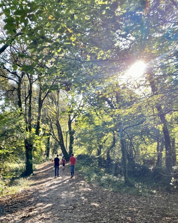 The Kingswood Ξενοδοχείο St Austell Εξωτερικό φωτογραφία